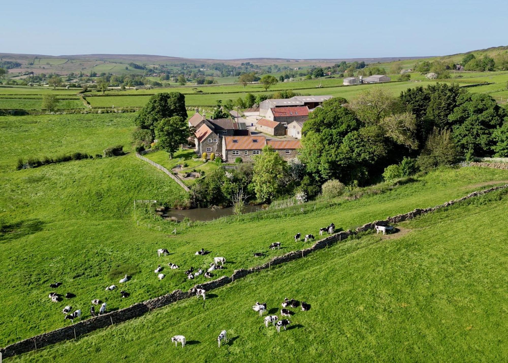 Church House Farm Danby Eksteriør bilde